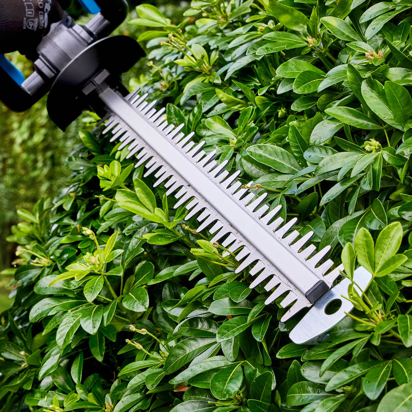 Mac Allister Hedge Trimmer MCI1207GHT Cordless 18V Mac SOLO 550mm Body Only - Image 2