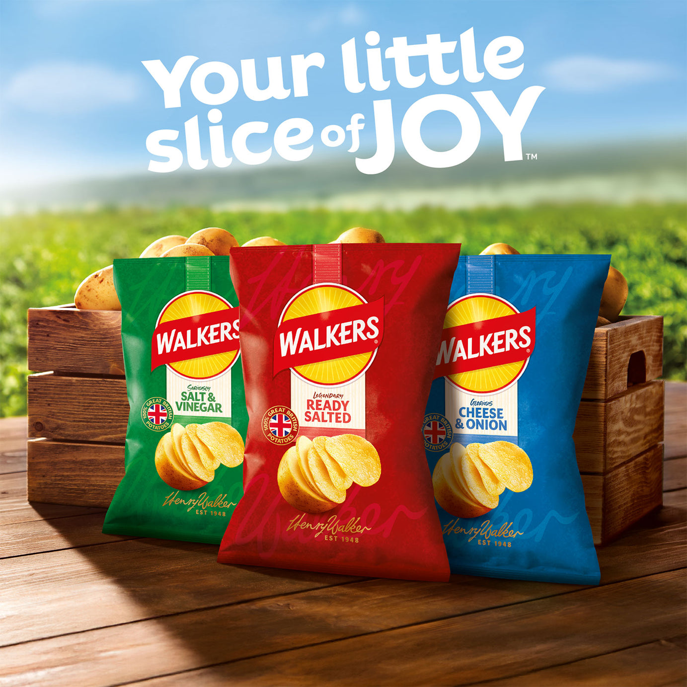 Walkers Crisps BBQ Sauce Sharing Multipack Snacks 108 x 25g - Image 5